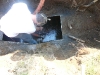 Pumping the oil out