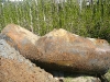 Removed oil tank