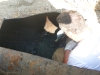 Sludge removal