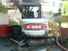 Bobcat